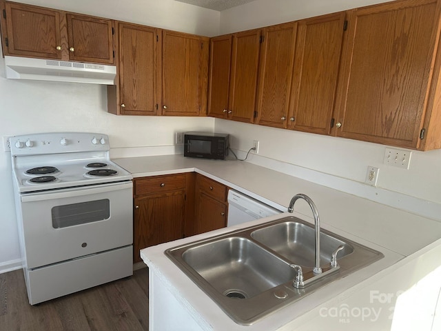 kitchen featuring dark hardwood / wood-style floors, sink, and white appliances