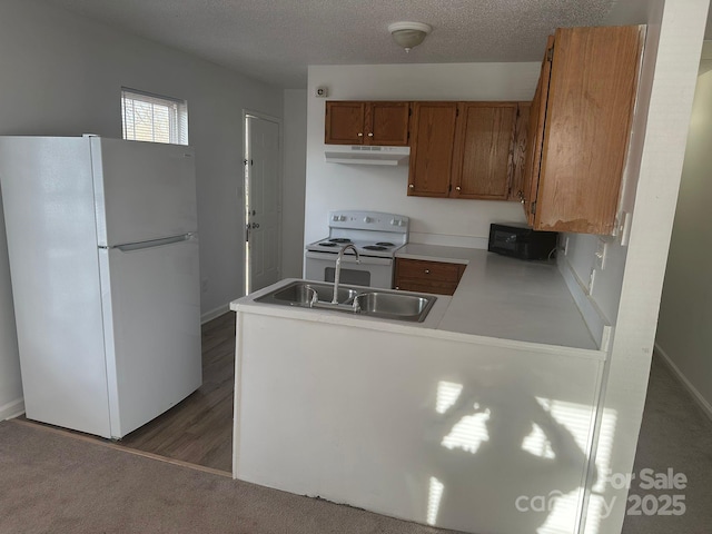 kitchen with dark colored carpet, sink, a textured ceiling, and white appliances