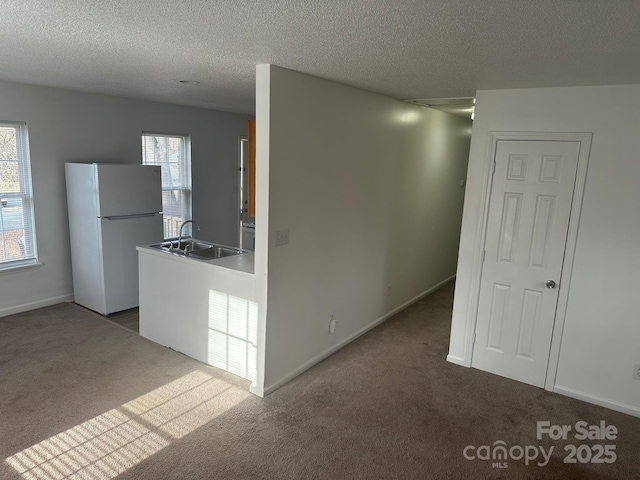 kitchen featuring sink, carpet floors, a textured ceiling, and white refrigerator