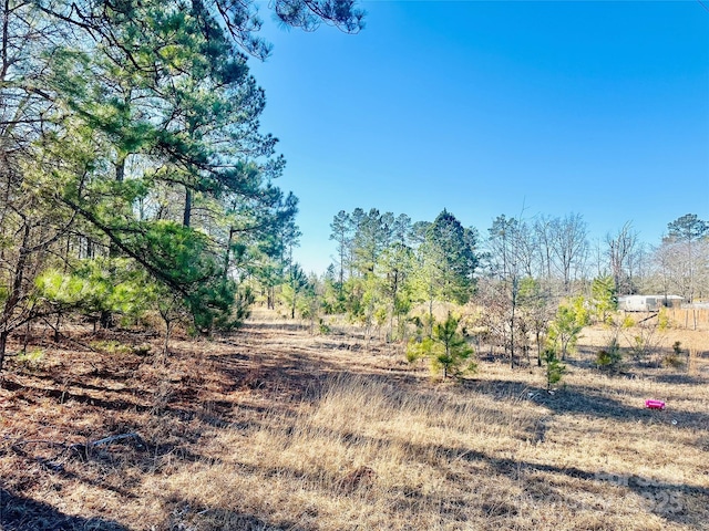 2361 Mill Creek Rd, Bethune SC, 29009 land for sale