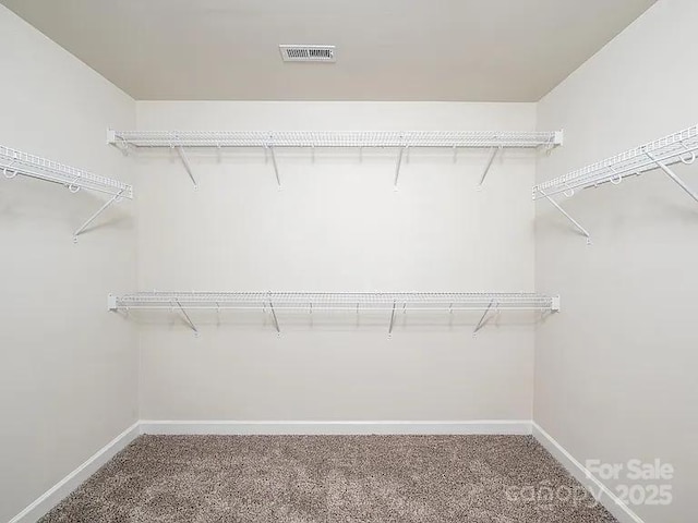 walk in closet featuring carpet floors