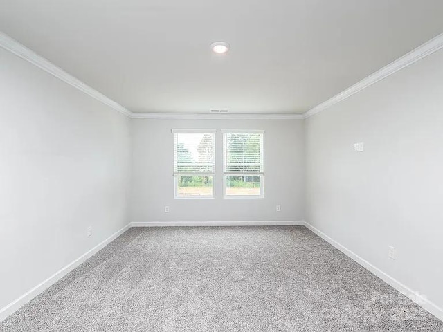 spare room with ornamental molding and carpet floors