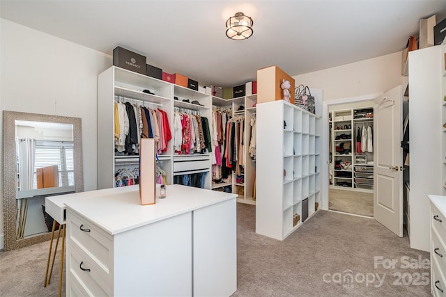 spacious closet featuring light colored carpet