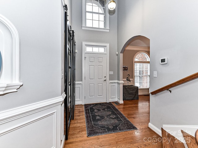 entrance foyer featuring a high ceiling and dark wood-type flooring