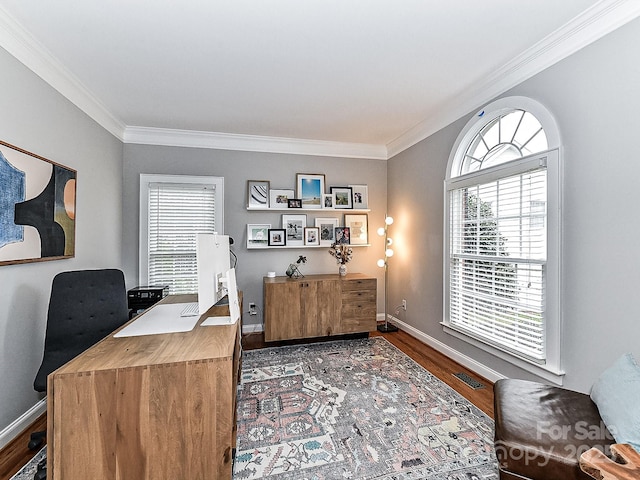 office with crown molding and dark hardwood / wood-style floors