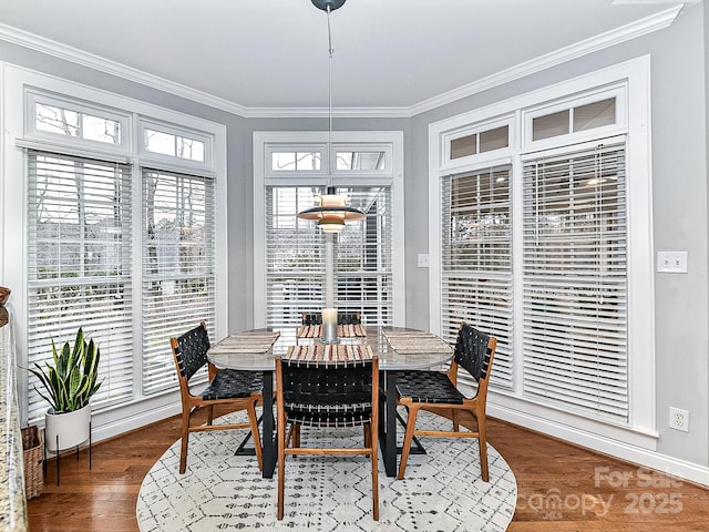 dining room with dark hardwood / wood-style flooring and crown molding