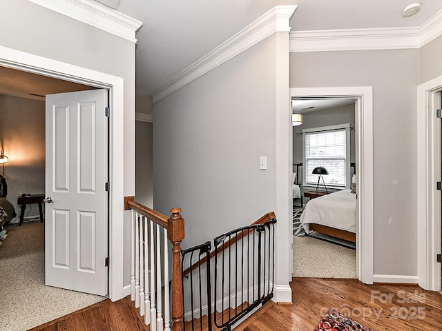 stairway with crown molding and hardwood / wood-style floors