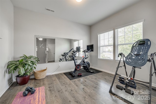 workout room with hardwood / wood-style floors