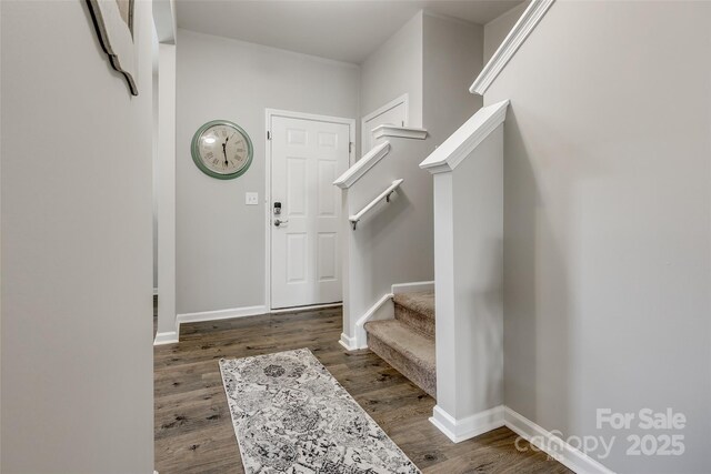 mudroom featuring dark wood-type flooring