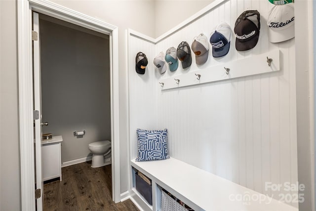 mudroom featuring dark hardwood / wood-style flooring