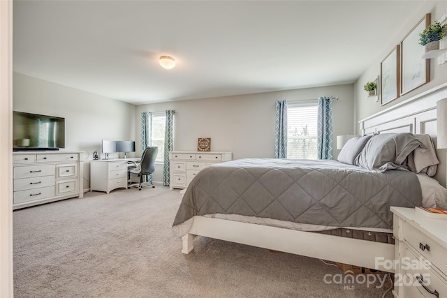 carpeted bedroom with multiple windows