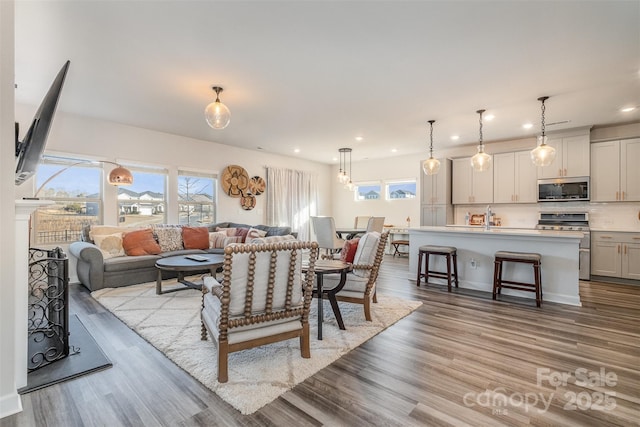 living room featuring light hardwood / wood-style flooring