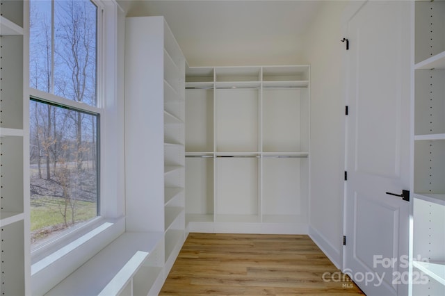 spacious closet with light wood-type flooring