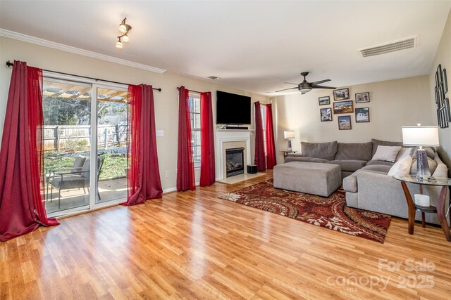 living room featuring ornamental molding, ceiling fan, and light wood-type flooring