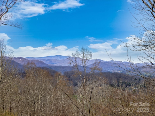 property view of mountains