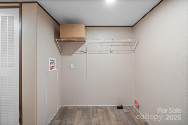 clothes washing area featuring wood-type flooring and hookup for a washing machine