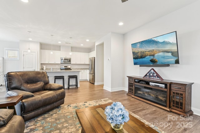 living room with light hardwood / wood-style flooring