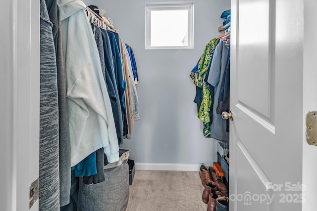 spacious closet with light colored carpet