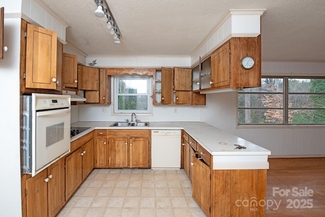 kitchen with crown molding, sink, a textured ceiling, and white appliances