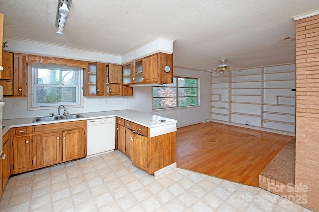 kitchen featuring dishwasher, sink, ceiling fan, a textured ceiling, and light hardwood / wood-style flooring