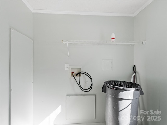 clothes washing area with crown molding and washer hookup