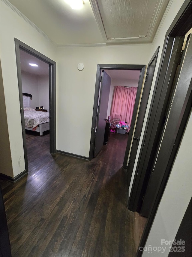 3103 Minnesota Rd, Charlotte, NC 28208 - corridor featuring ornamental molding and dark hardwood / wood-style floors