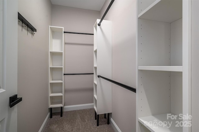 walk in closet featuring carpet floors