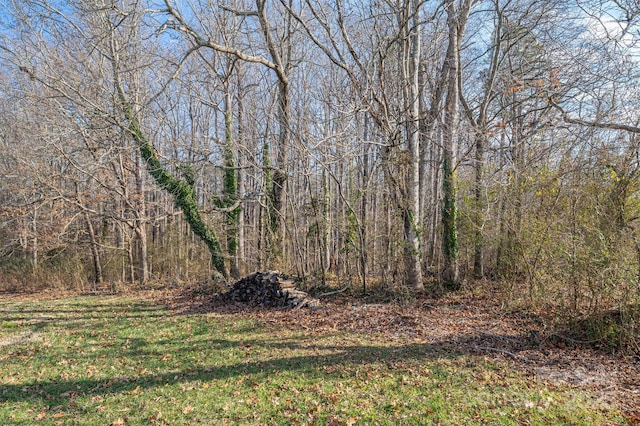 view of local wilderness