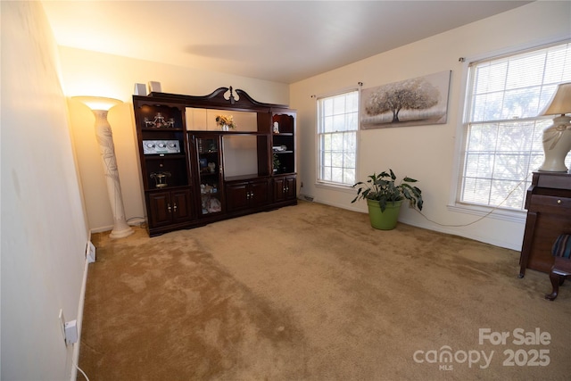 sitting room featuring carpet floors