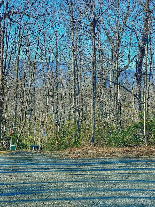 Listing photo 3 for 13 Rolling Ridge Trl, Black Mountain NC 28711