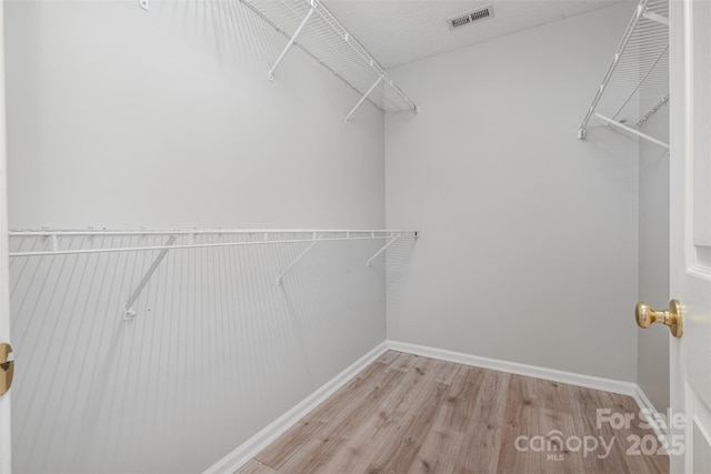 walk in closet with light wood-type flooring