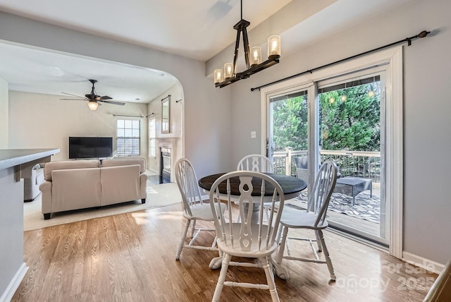 dining space featuring ceiling fan with notable chandelier and light hardwood / wood-style floors