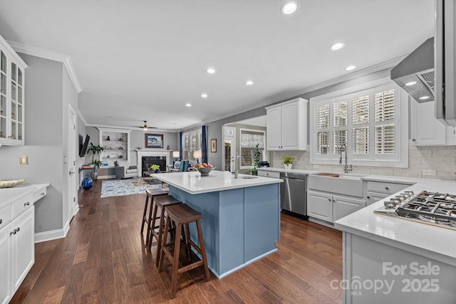 kitchen featuring wall chimney exhaust hood, sink, white cabinetry, a kitchen island, and stainless steel appliances