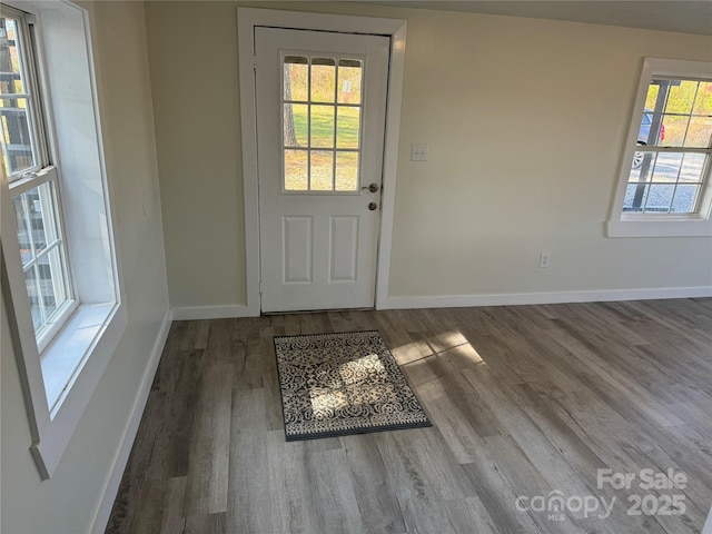 doorway featuring a healthy amount of sunlight and hardwood / wood-style floors