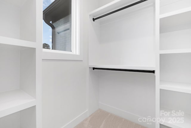 spacious closet with carpet