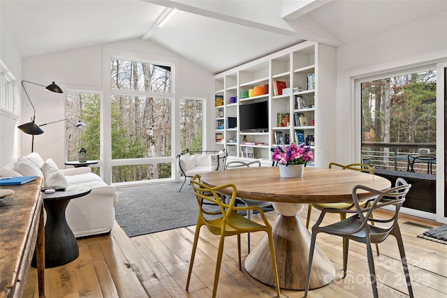 interior space featuring hardwood / wood-style flooring, lofted ceiling, and a healthy amount of sunlight