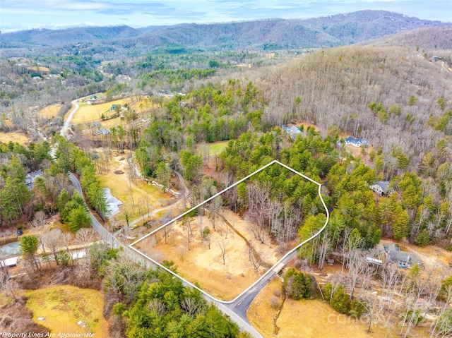 6 Buffalo Creek Dr Unit 1 & 2, Fairview NC, 28730 land for sale