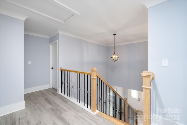 hallway featuring crown molding and light hardwood / wood-style flooring