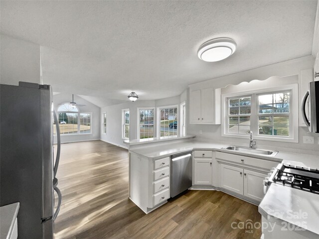 kitchen featuring sink, dark hardwood / wood-style flooring, kitchen peninsula, stainless steel appliances, and white cabinets