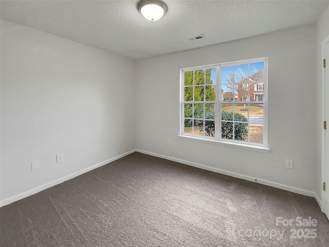 spare room with carpet floors and a textured ceiling