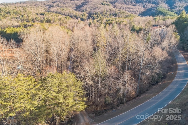 000 Mount Gilead Church Rd, Connelly Springs NC, 28612 land for sale