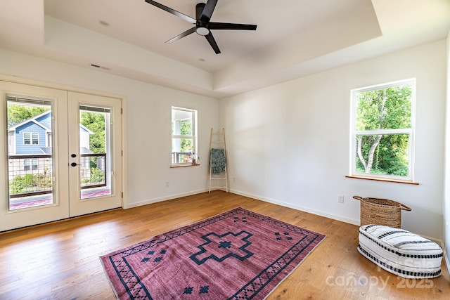 spare room with wood-type flooring, a raised ceiling, and plenty of natural light