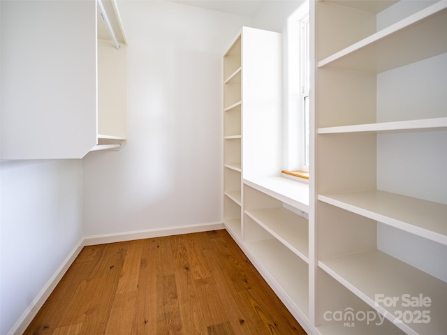 spacious closet with hardwood / wood-style flooring