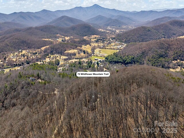 bird's eye view featuring a mountain view and a wooded view