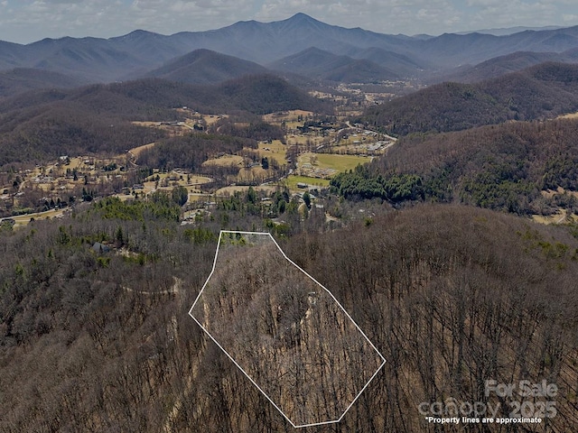 birds eye view of property with a forest view and a mountain view