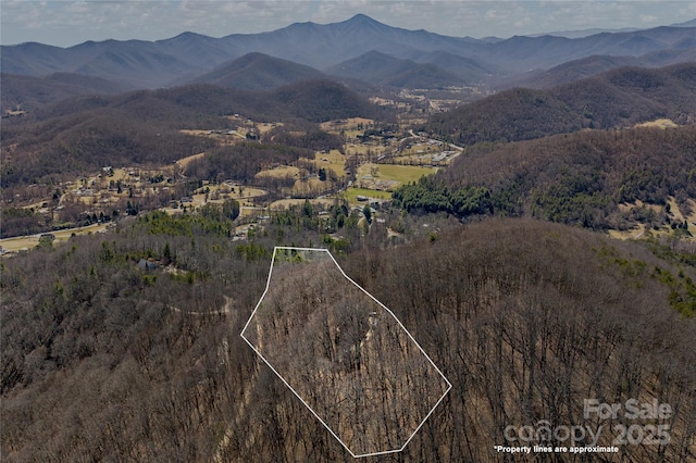 birds eye view of property featuring a mountain view and a wooded view