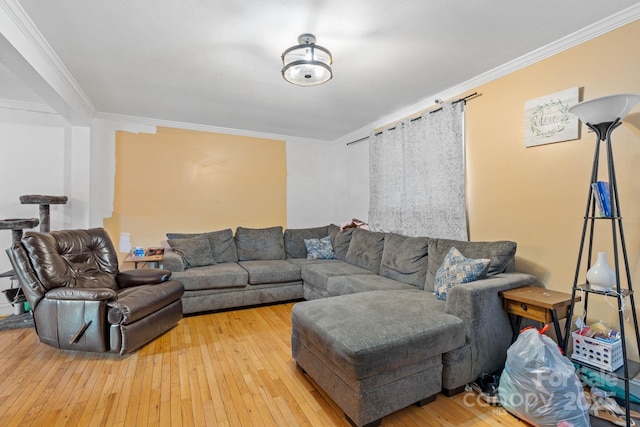 living room featuring crown molding and hardwood / wood-style flooring