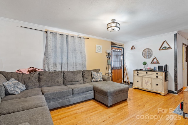 living room featuring hardwood / wood-style floors and crown molding