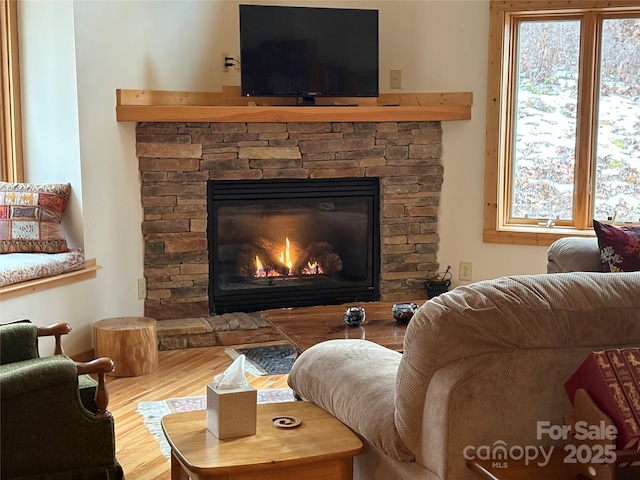 room details featuring hardwood / wood-style floors and a fireplace