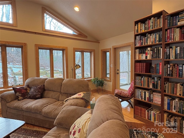 living room with wood-type flooring and high vaulted ceiling